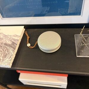 Bang & Olufsen Beosound A1 Bluetooth Wireless Speaker